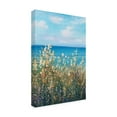thumbnail image 2 of Trademark Fine Art 'Flowers at the Coast II' Canvas Art by Tim OToole, 2 of 3