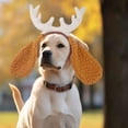 thumbnail image 3 of Adjustable Elastic Band Headband for - Versatile Party Accessory for Cats and Dogs, 3 of 6