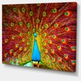 thumbnail image 2 of Peacock Dancing - Animal Photography Art, 2 of 3