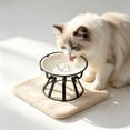 thumbnail image 5 of Elevated Ceramic Cat Bowl With Metal Stand Anti Tip Pet Food Water Bowl Cute Pattern Raised Feeding Dish For Small Medium Cats Dogs Prevent Neck Strain Indoor Pet Feeder, 5 of 6
