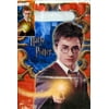 Harry Potter 'Order of the Phoenix' Favor Bags (8ct)