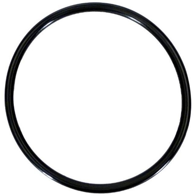 Filtre à Sable en Fibre de Verre Triton C-3 de Remplacement à Joint Torique Intercalaire