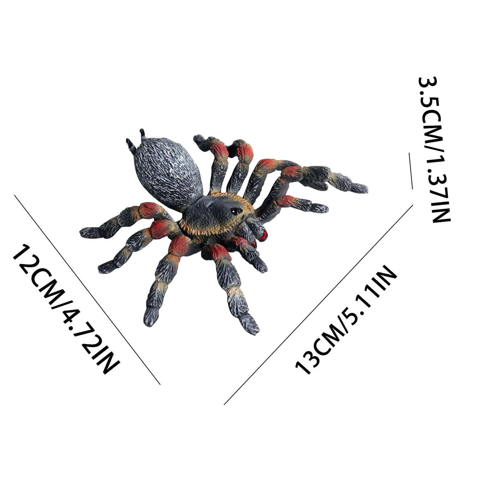 Warmtree Simulated Spider Model Realistic Spider Figurines Plastic Spider  Action Figure for Collection Science Educational, Set of 4