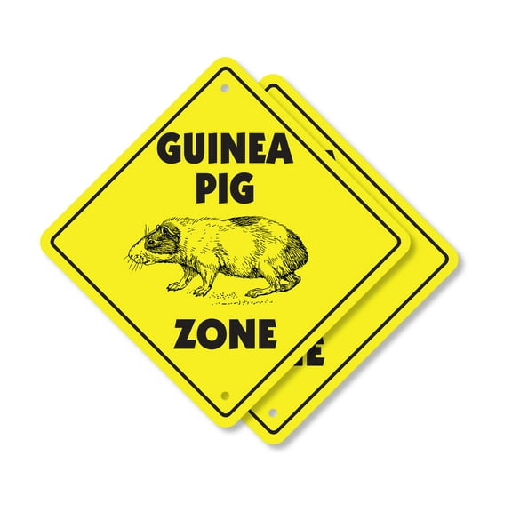 Guinea Pig (2 Pack) Plastic Crossing Sign - 10 Inch X 10 Inch Xing Sign Gift Pet Animal Cute Furry Family Kids House Fun Love Play Decor