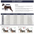 thumbnail image 4 of Ropa para perros Ropa para perros grandes Ropa de invierno Ropa para cuatro patas, 4 of 6