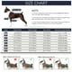 thumbnail image 4 of Ropa para perros Ropa para perros grandes Ropa de invierno Ropa para cuatro patas, 4 of 6