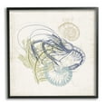 thumbnail image 5 of Stupell Industries Nautical Layered Sea Life Crawdad Ocean Botanicals Graphic Art Black Framed Art Print Wall Art, Design by Victoria Barnes, 5 of 5