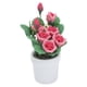 thumbnail image 4 of Plantas para casa de muñecas, ramos para casa de muñecas 1:12 Miniatura vívida Bonsái Planta en maceta en miniatura Integración perfecta, 4 of 14