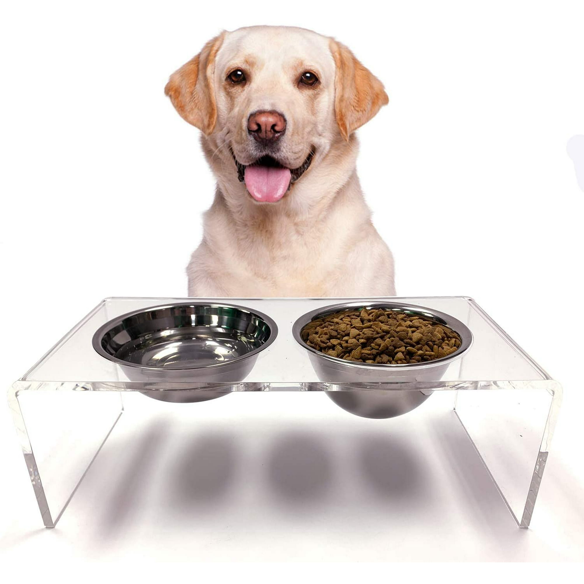 Are Elevated Bowls Bad For Dogs