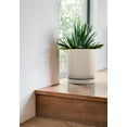 thumbnail image 5 of Veradek Mason Series Kona 10" Plastic-Stone Planter Tray 2-Pack Sand, 5 of 8