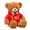 Red Hoodie Bear, variant on Teddy Bear Plush Toy with Hoodie Soft Stuffed Animal Decorative Gift Plush Bear for Home Decor Collection
