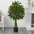 thumbnail image 5 of Nearly Natural 4' Ficus Artificial Tree UV Resistant (Indoor/Outdoor), 5 of 5