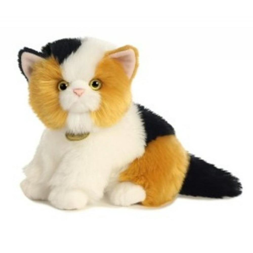 miyoni tots cat
