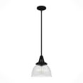 thumbnail image 2 of Hunter - Cypress Grove 1-light Natural Black Iron, Small Pendant Light, Dimmable, Transitional Style, Dome Shaped, for Bedrooms, Dining, Living Rooms - 19247, 2 of 8