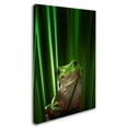 thumbnail image 2 of Ahmad Gafuri 'Green Frog' Canvas Art, 2 of 3