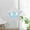 A, variant on Iridescent Foil Balloons, 4D Clear Holographic Foil Balloons for Birthday Wedding Baby Shower Mermaid Rainbow Party Decorations