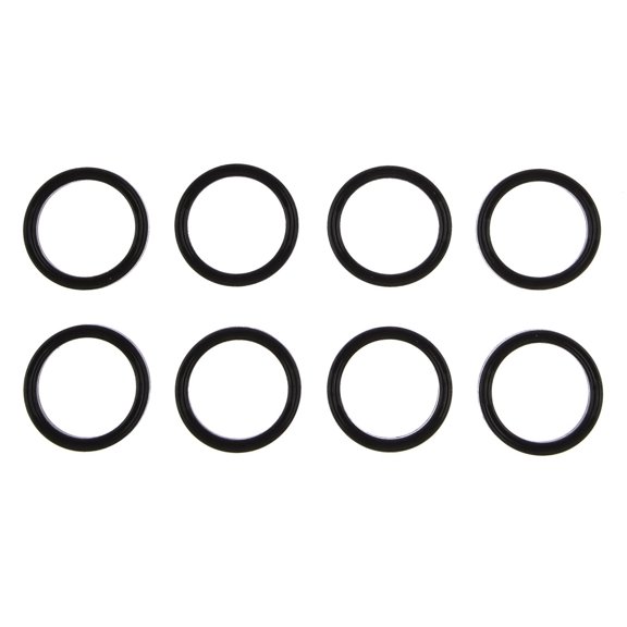 Fuel Injection Plenum Gasket Set