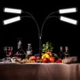 thumbnail image 2 of Luz LED XPAISYQC de cuatro brazos, 30 W, 2800 K, 6500 K, CIR80+, con soporte, 2 of 6