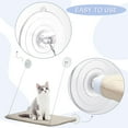 thumbnail image 3 of Ventana de vidrio gato nido hamaca ventosa 2 modelos, 8 juegos, anillo circular con orificio transversal, fuerte succión y transparente Sincero Electrónica, 3 of 5
