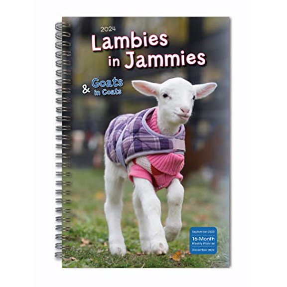 Pre-Owned 2024 Planner, Weekly & Monthly Planner, 16-Month Engagement Calendar: September 2023 - December 2024, 6" x 9" - Lambies in Jammies & Goats In Coats, 9781531936839, 1531936