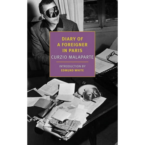 Diary of a Foreigner in Paris (Paperback)