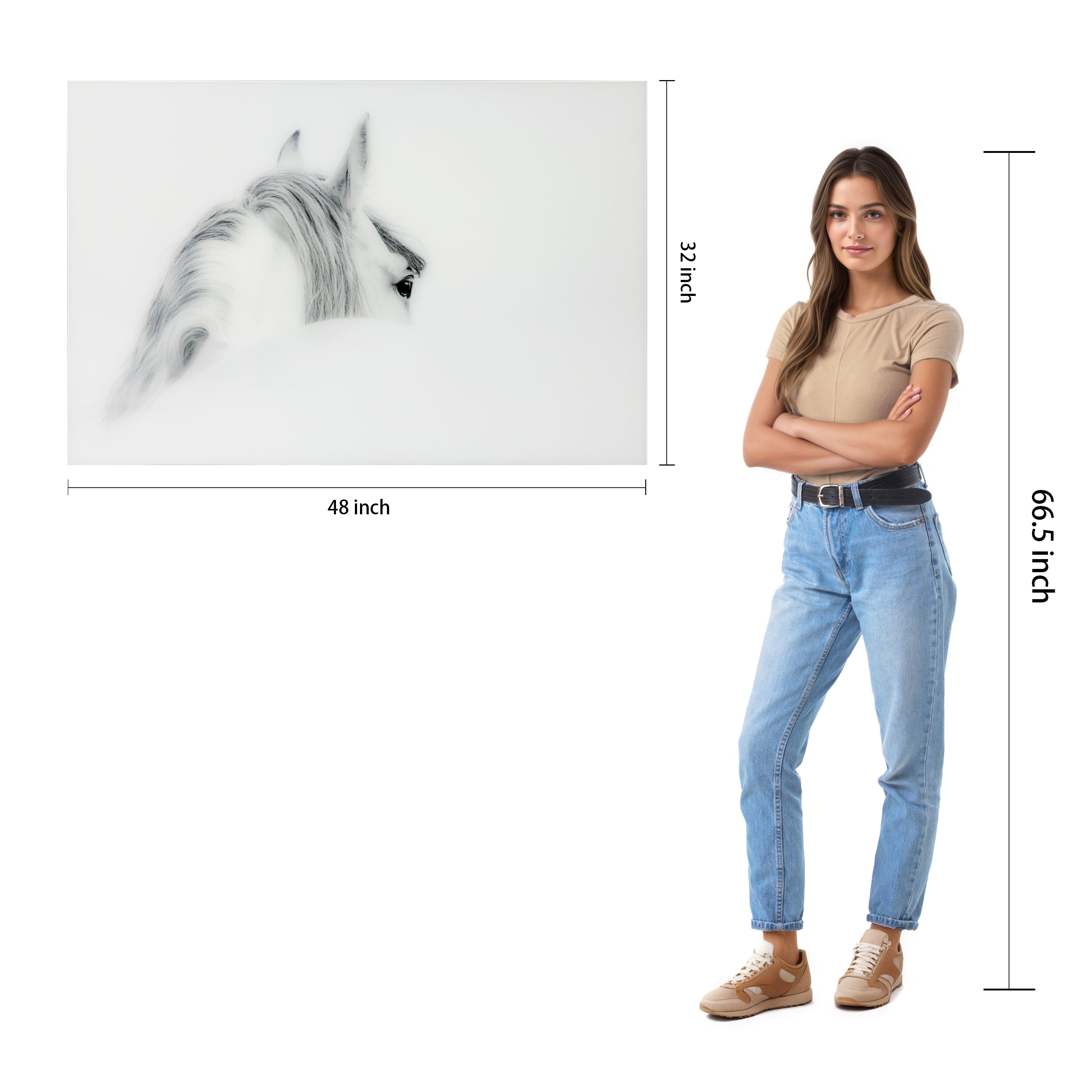 Empire Art Direct Blanco Mare Horse Frameless Free Floating Tempered Glass Panel Graphic Wall Art, 48" x 32" x 0.2", Ready to Hang
