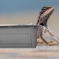thumbnail image 4 of unbranded Caja De Cría Para Reptiles Con Espacioso Y Ventilación Para Hábitat De Y, 4 of 6