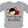 thumbnail image 4 of Inktastic Little Sister Ladybug Girls Long Sleeve Baby Bodysuit, 4 of 5