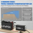 thumbnail image 4 of 12V 10A Smart Battery Charger LiFePO4 14.6V Charger Anderson Plug for Marine RV, 4 of 7