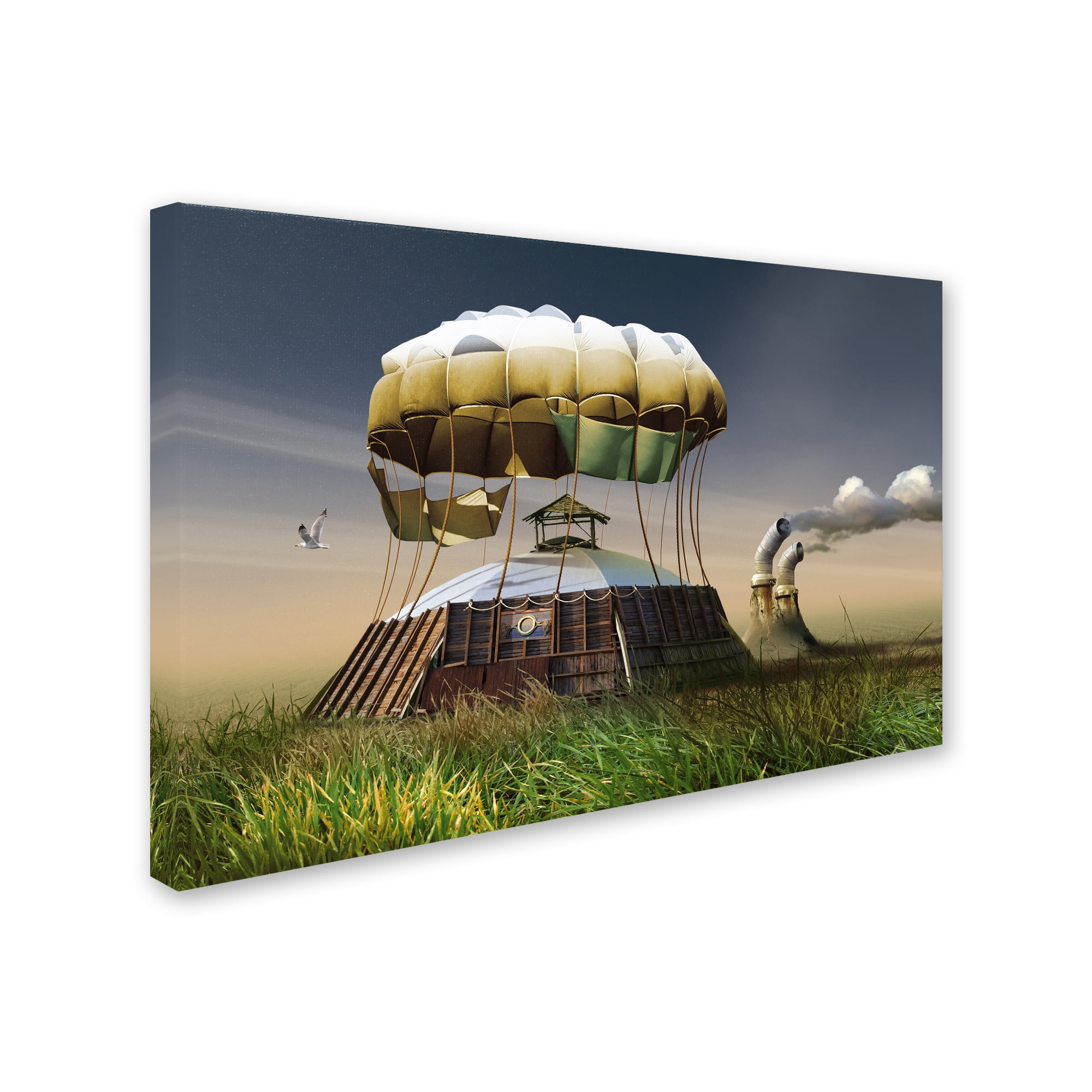 Trademark Fine Art 'Up In The Air' Canvas Art by Radoslav Penchev