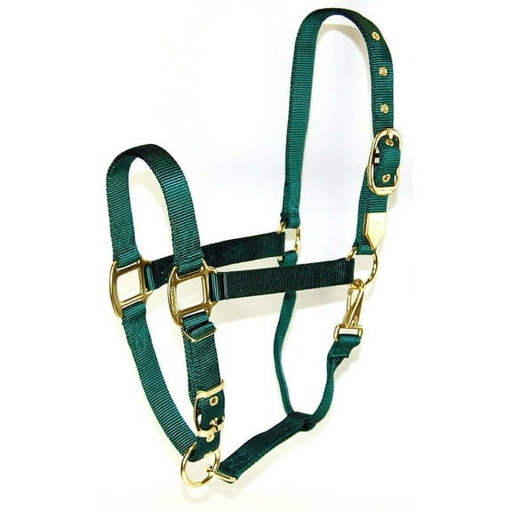 Hamilton Halter Company - Adjustable Chin Halter With Snap- Hunter Green Average - 1DAS AVDG