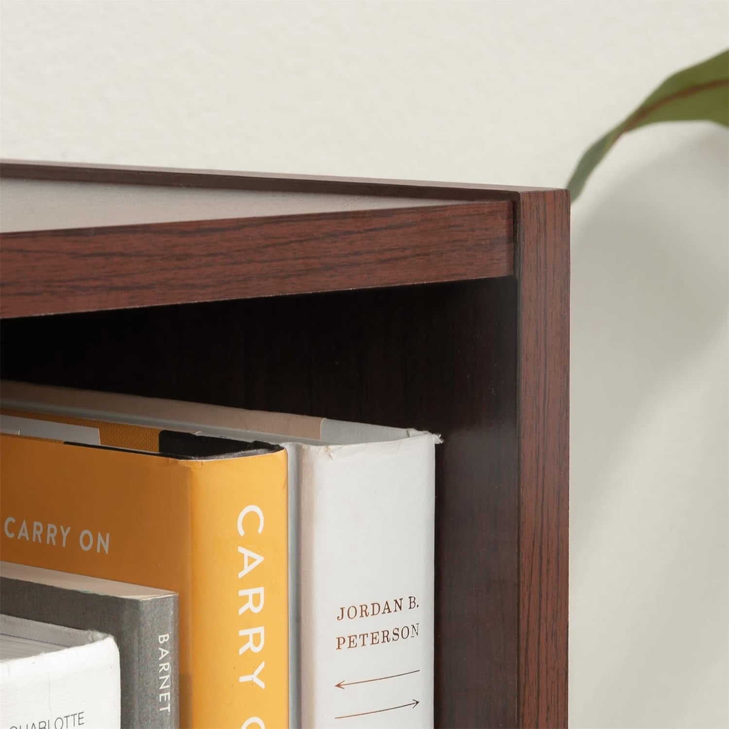 3-Shelf Bookcase, Bookshelf with Adjustable Storage Shelves