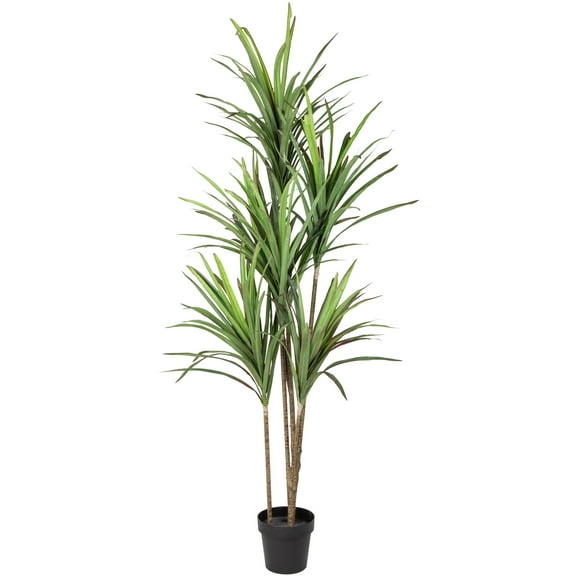 Northlight Real Touch™ Artificial Dracaena Marginata Plant in Black Pot - 5.5'