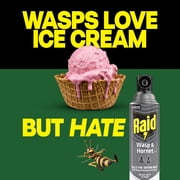 Raid Outdoor Wasp & Hornet Insecticide Value Pack, 14 oz., 2 Count