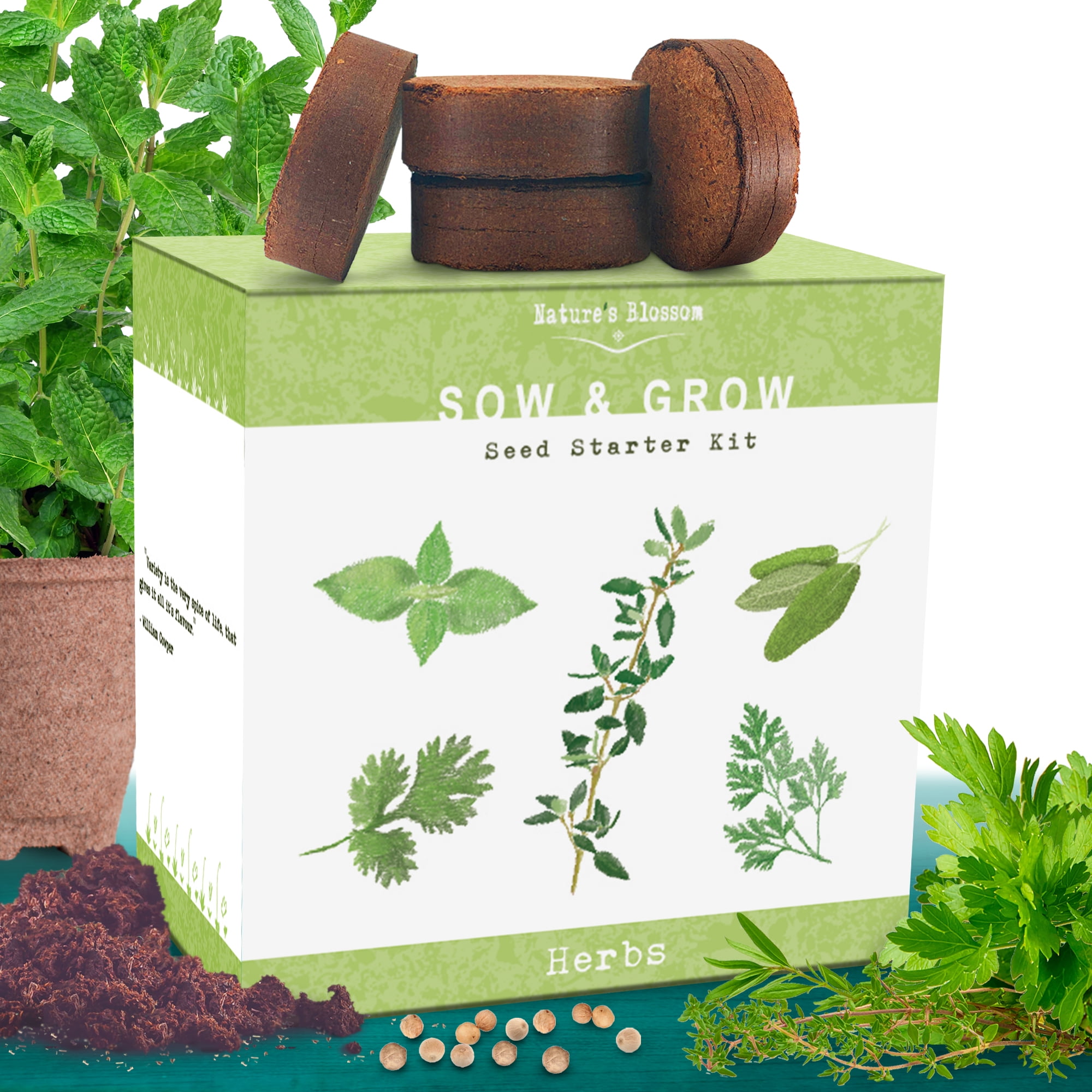 Free Mini-Greenhouse Included Easy to Grow Great Gift Large Grow Your Own Herb Kit 6 Herb Varieties