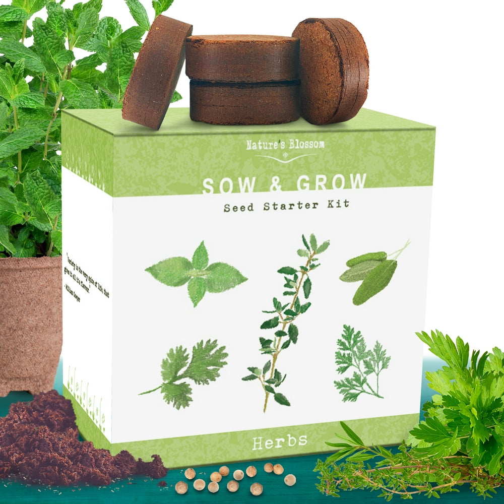 Nature’s Blossom Herb Garden Grow Kit Grow 5 Different Herbs from