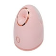 Facial Steamer with 100ml Water Tank Moisturizing Cleaning Pores Mist