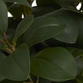 thumbnail image 5 of DecMode 15" Artificial Eucalyptus Plant in Realistic Leaves and Metal Stand and Black Pot, 5 of 8