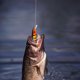 thumbnail image 4 of Minnow señuelo de pesca 6g 6cm hundimiento 3D ojos Wobbler cebo duro artificial (B) Ehuebsd Para estrenar, 4 of 8