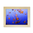 thumbnail image 1 of Ocean medusas ciencia naturaleza foto Escritorio de madera Arte Pintura 6x8 pulgadas marco de foto foto, 1 of 4