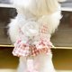 thumbnail image 3 of Princess Small Dog Cat Harness Leash Set Lace Pet Vest With Flower Outdoor Puppy Cute Training Accessories Kittens Supplies ShopWise Round, 3 of 7