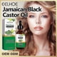 thumbnail image 4 of Castor Essential Oil, 4 of 5