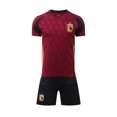 thumbnail image 3 of Ropa de fútbol de la selección nacional 2024 - 25 camiseta de fútbol infantil manga corta euro2024 uniforme de aficionados juveniles / masculinos BLS | Código XL, 3 of 8