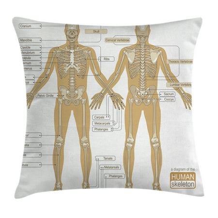 Main Body Parts Human Anatomy Throw Pillow Cushion Cover, Diagram of Human Skeleton System with Titled Main Parts of Body Joints Picture, Decorative Square Accent Pillow Case, 16 X 16 Inches, White Tan, by Ambesonne ()
