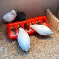 thumbnail image 4 of Plastic Flip Top Poultry Feeder Trough Small Chick Feeder Plastic Chicken Feeder No Waste Spill Proof For Birds Small Poultry Chick Feeder Trough With Multiple Feeding Holes Feeding Dish Dispenser, 4 of 9