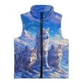 thumbnail image 4 of Uorisanigo Unisex Kids Fleece Vest Sleeveless Stand Collar Jacket Boys Girls Zippered Outwear Fall Winter Outfits Clothes Snow Wolf Print Vest Jacket Tops with Pockets, 4 of 7