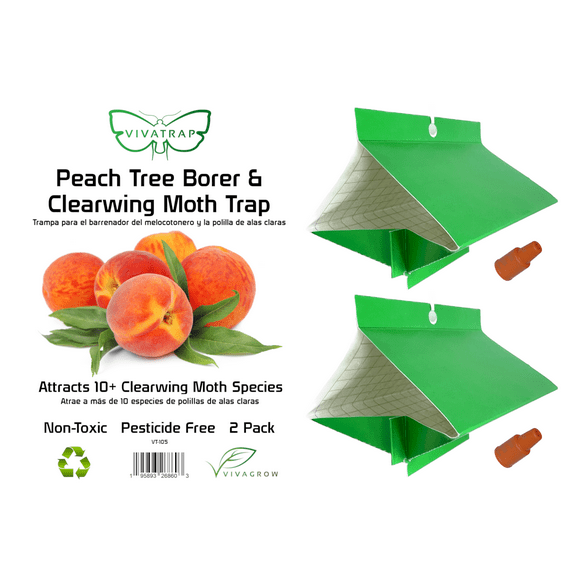 VivaTrap! VT-105 Peach Tree Borer   Clearwing Moth Trap & Lure (2 Pack)