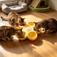 thumbnail image 2 of Flower‑shaped Multi‑compartment Pet Feeding Bowl, Plastic Multi‑pet Shared Food Water Bowl, Easy‑clean Divided Feeder for Cats Dogs Puppies,13.78in Yellow, 2 of 6
