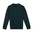 thumbnail image 1 of Native Spirit  Adult Crew Neck Sweatshirt, 1 of 2