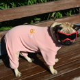 thumbnail image 5 of Dog Goggles Breed, Dog Sunglasses For Breed Uv Protection Eyewear For Small Middle Dog, 5 of 5
